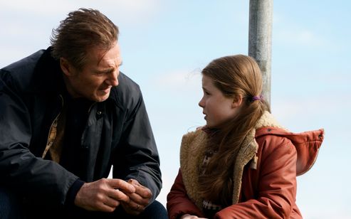 プロフェッショナル 画像4