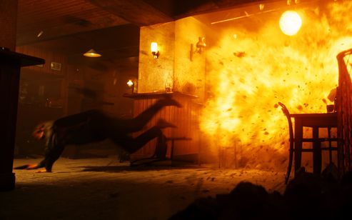 プロフェッショナル 画像5