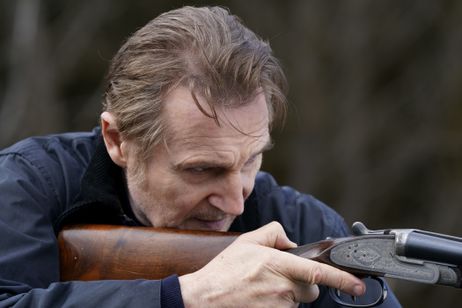 プロフェッショナル 画像7