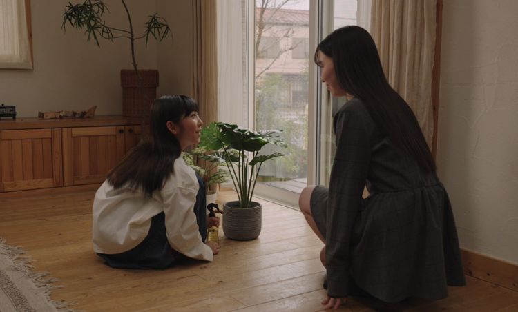 星野先生は今日も走る 画像3