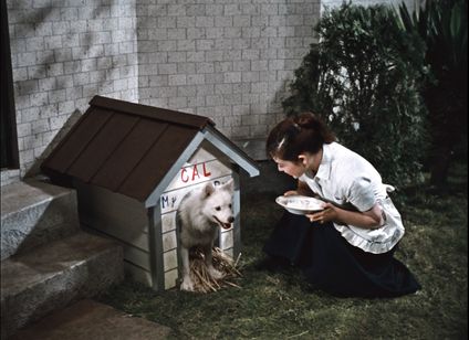 青空娘 4K版 画像4