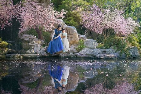 紅楼夢～運命に引き裂かれた愛～ 画像6