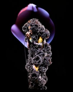 ビョーク：コーニュコピア 画像3