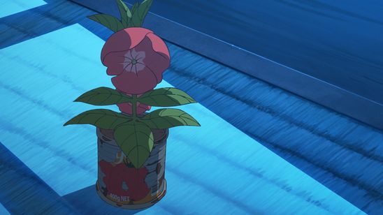 ホウセンカ 画像3