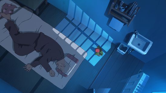 ホウセンカ 画像4