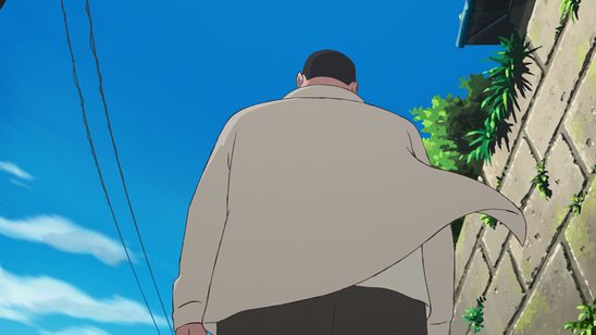 ホウセンカ 画像5