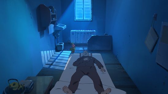 ホウセンカ 画像6