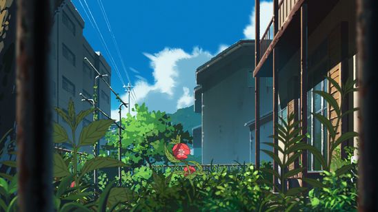 ホウセンカ 画像8