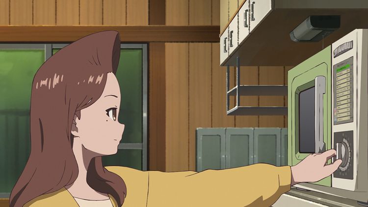 ホウセンカ 画像15