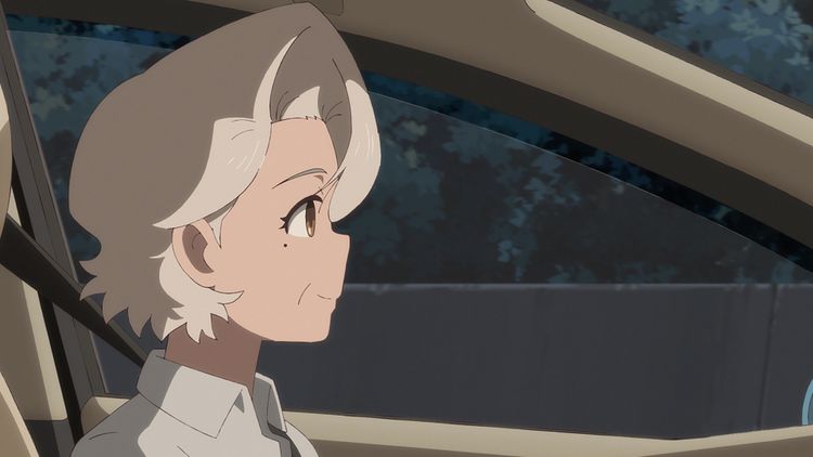 ホウセンカ 画像18