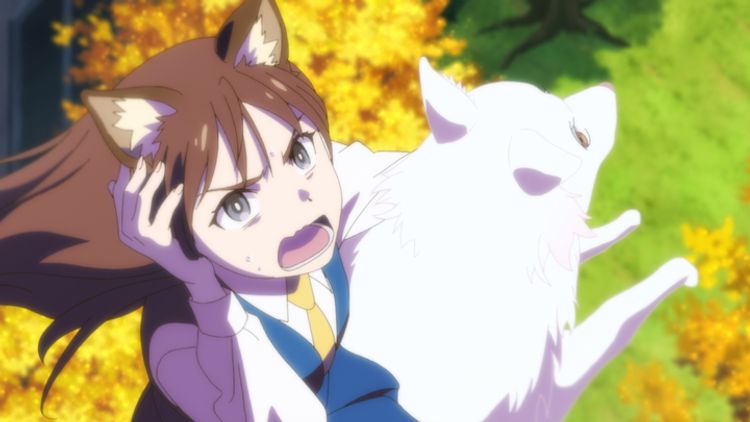 この本を盗む者は 画像26