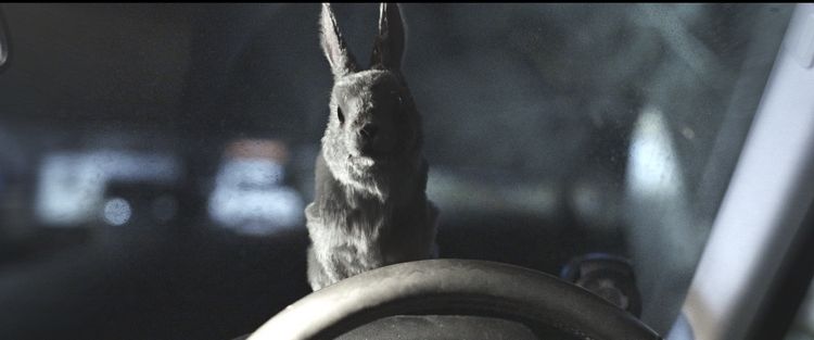 子鹿のゾンビ 画像9