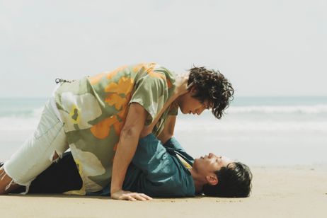 鯨が消えた入り江 画像2