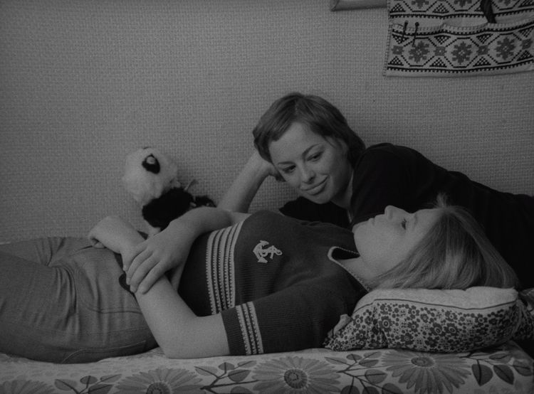 リダンス 画像2