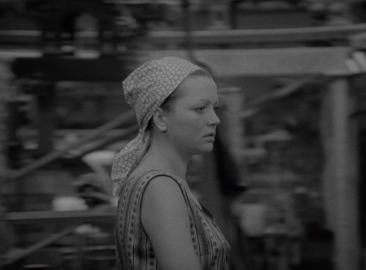 リダンス 画像3