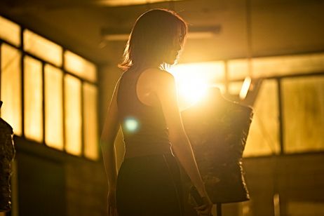 カマキリ 画像4