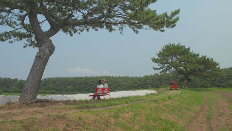 じっちゃ！ 画像14