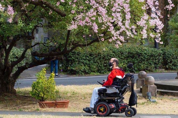 ブックマン・マーク：行動の軌跡 画像3