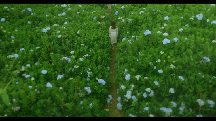 寝る映画 画像4