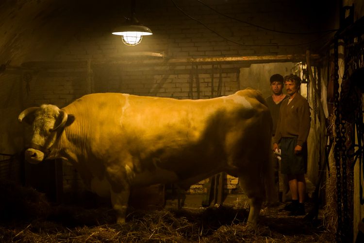 メン＆チキン 画像14