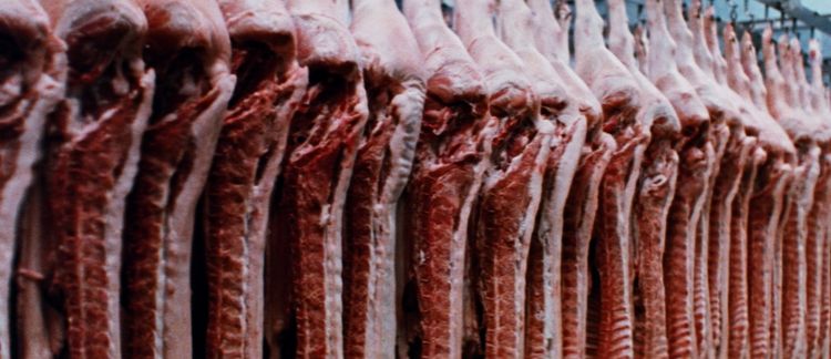 ロードゲーム 画像9