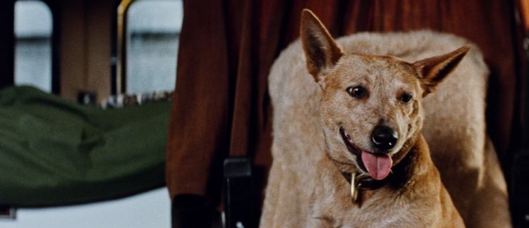 ロードゲーム 画像10