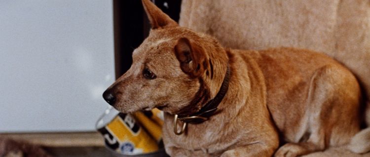 ロードゲーム 画像13