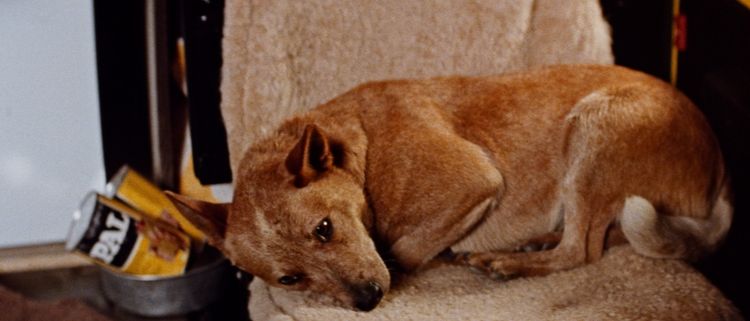 ロードゲーム 画像14