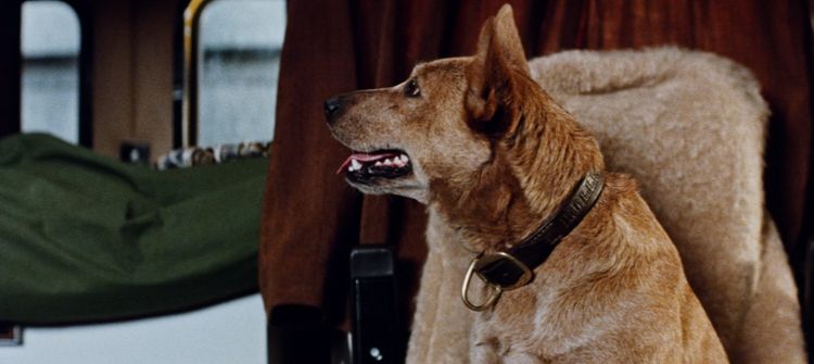 ロードゲーム 画像15