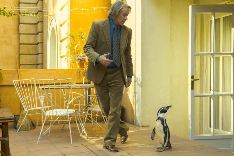 ペンギン・レッスン 画像2