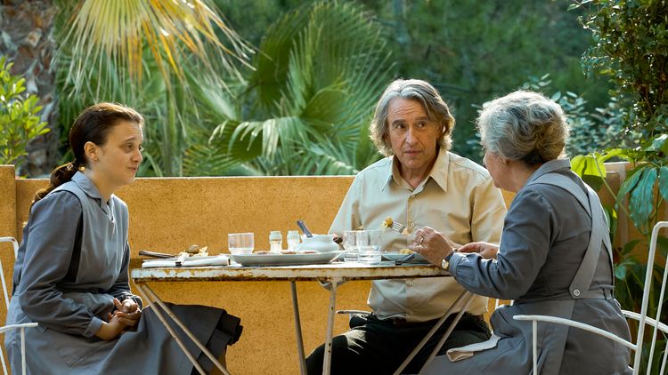 ペンギン・レッスン 画像4