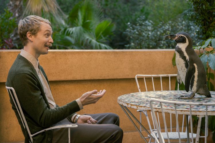 ペンギン・レッスン 画像5