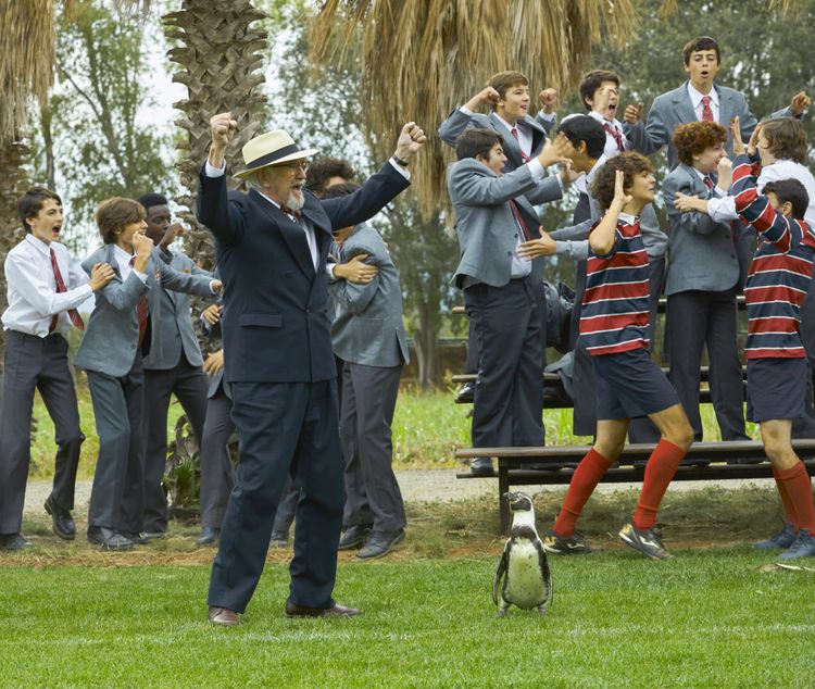 ペンギン・レッスン 画像11