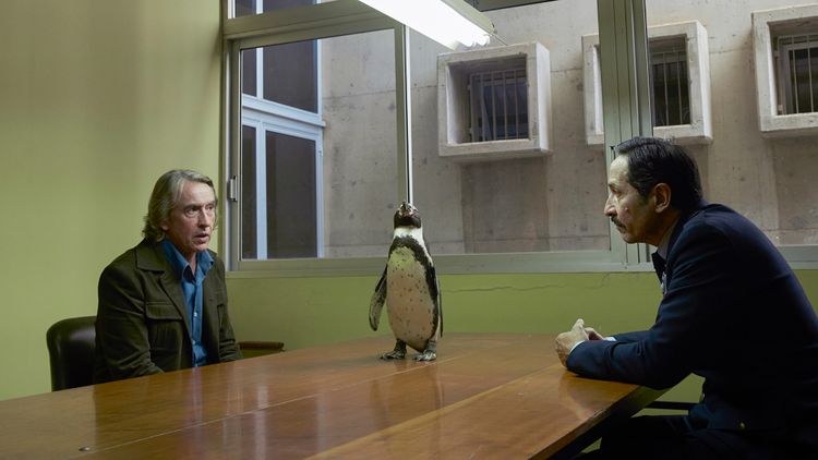 ペンギン・レッスン 画像13