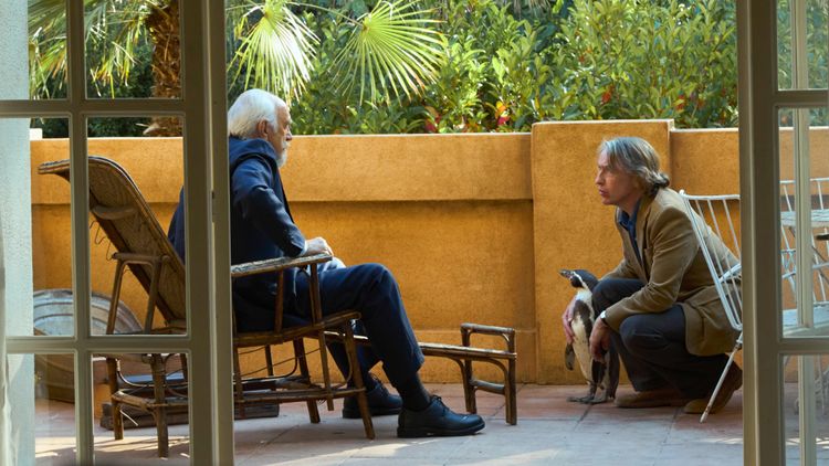 ペンギン・レッスン 画像15