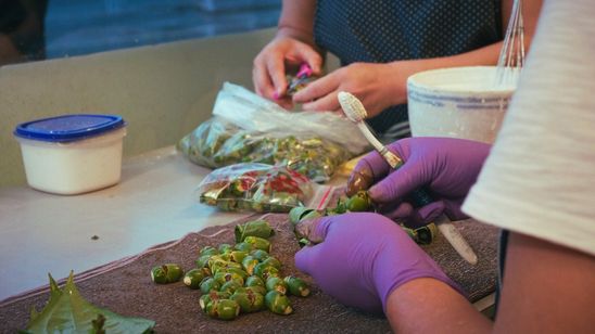 潜行一千里 ILHA FORMOSA 画像5