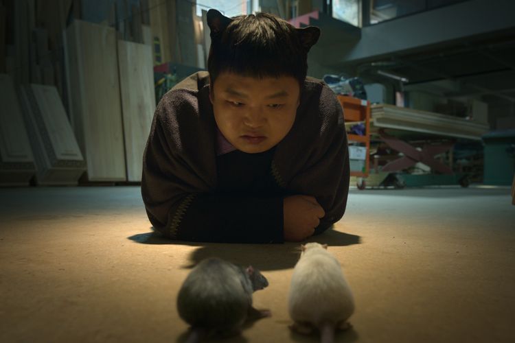 魔法のランプにお願い 画像18