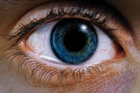 レクイエム・フォー・ドリーム　4Kリマスター 画像2