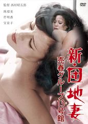 新・団地妻　売春グループ１３号館