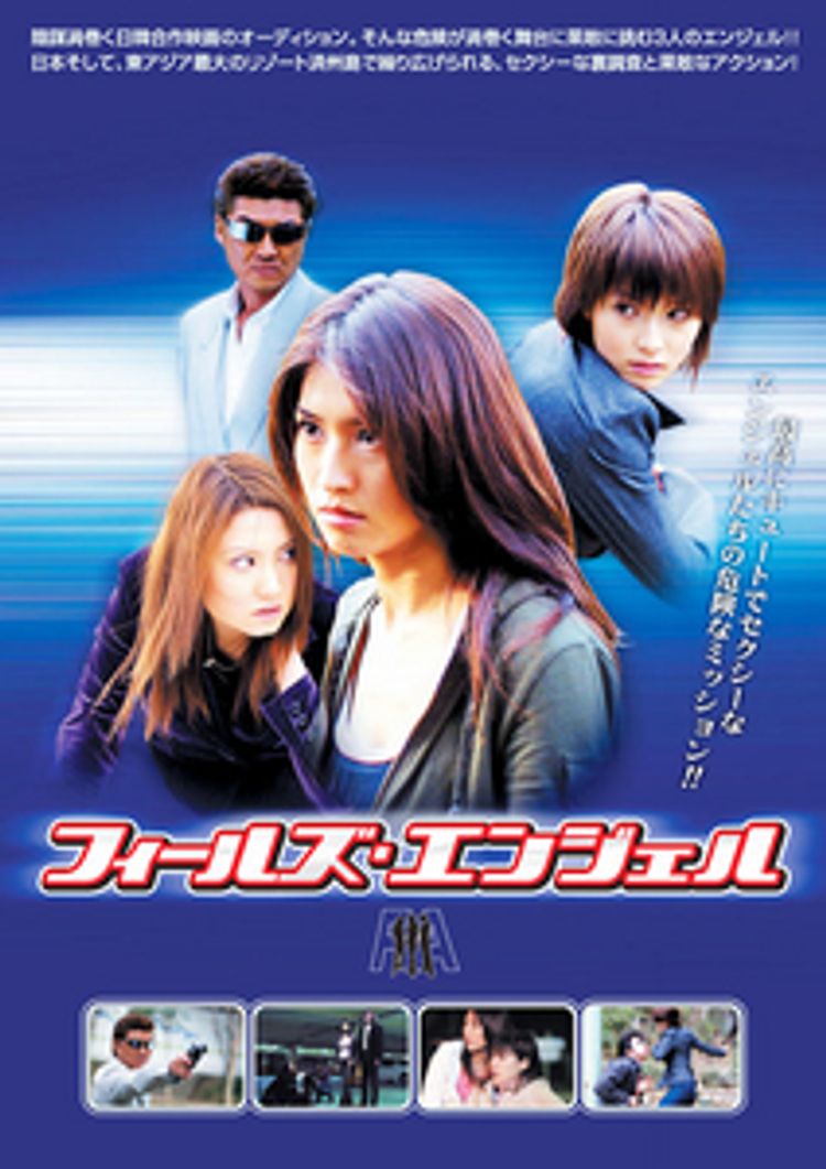 フィールズ・エンジェル ポスター画像