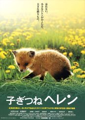 子ぎつねヘレン