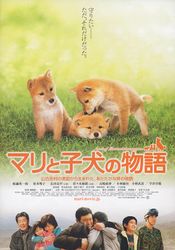 マリと子犬の物語