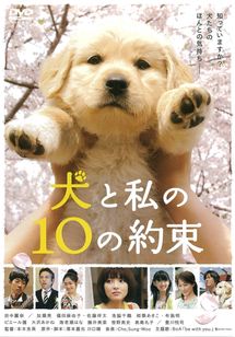 犬と私の10の約束