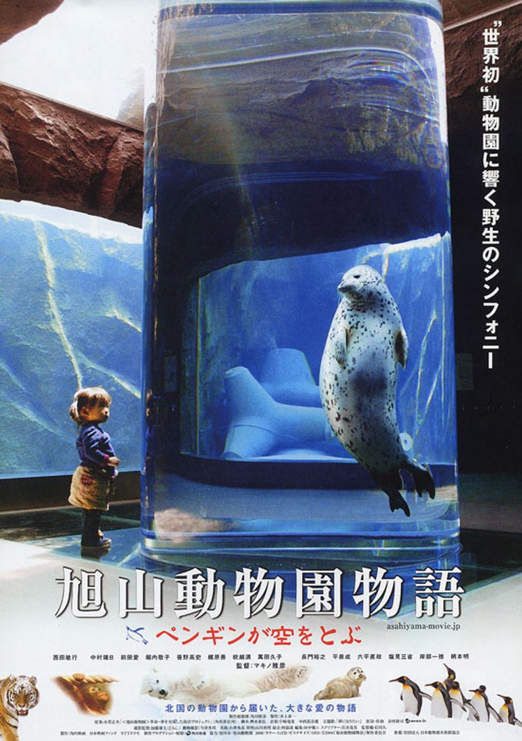 旭山動物園物語 ペンギンが空をとぶ ポスター画像