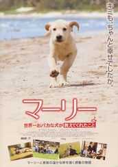 マーリー　世界一おバカな犬が教えてくれたこと