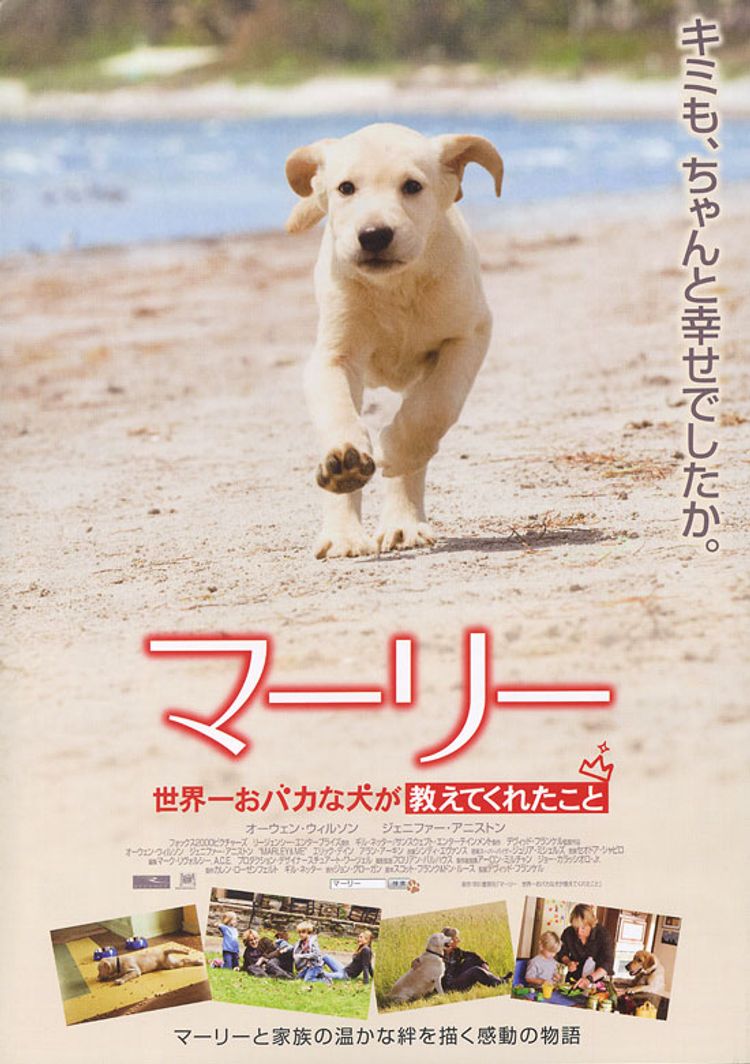 マーリー　世界一おバカな犬が教えてくれたこと ポスター画像