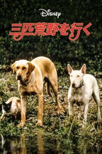 三匹荒野を行く バーンフォード原作 世界の動物名作 三匹荒野を行く:映画作品情報・あらすじ・評価|MOVIE WALKER