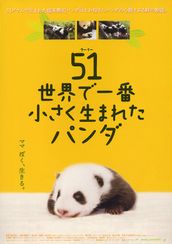 51 世界で一番小さく生まれたパンダ