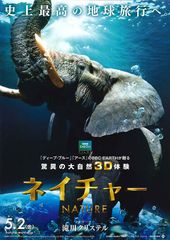 ネイチャー