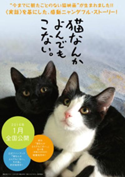 猫なんかよんでもこない。